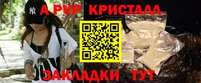 соль ск Надым