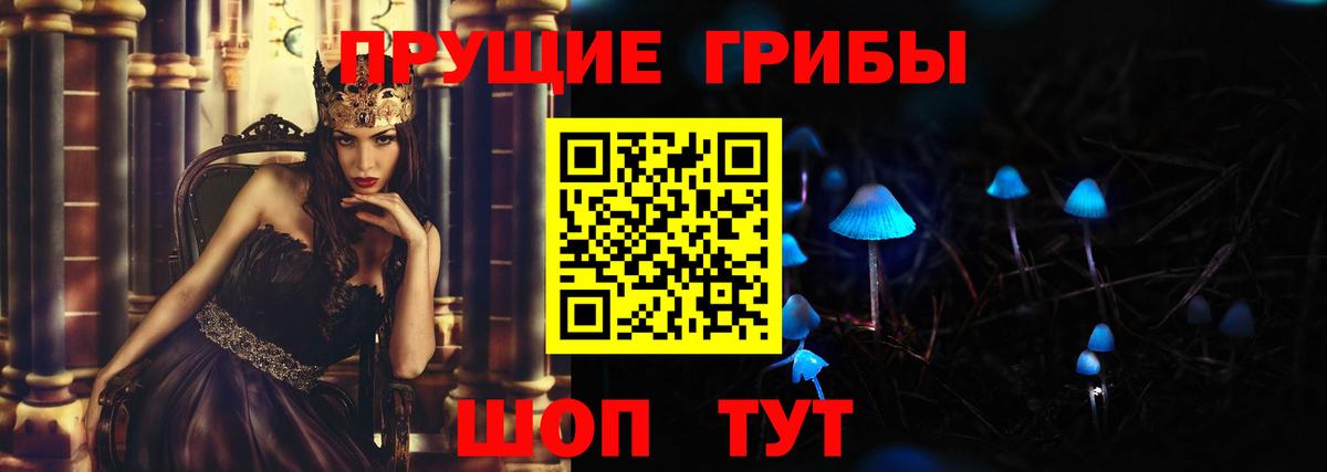 Псков  Галлюциногенные грибы MAGIC MUSHROOMS  Вход с VPN  Галлюциногенные грибы MAGIC MUSHROOMS 